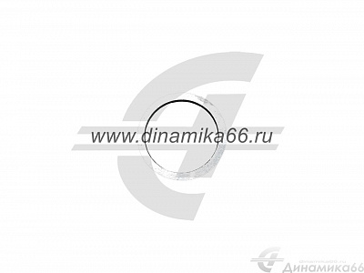 Шайба 005-01-70.30.018